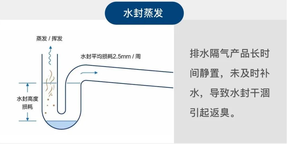 什么地漏下水快又防臭